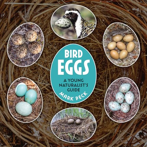 Bird Eggs: A Young Naturalist's Guide (Paperback)
