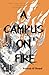A Campus on Fire