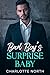 Bad Boy's Surprise Baby