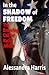 In the Shadow of Freedom: The Enduring Call for Racial Justice