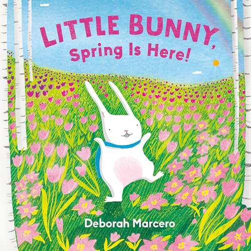 Little Bunny, Spring Is Here! (Board Book)