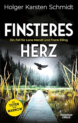 Finsteres Herz (Lona Mendt und Frank Elling, #2)