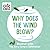 Why Does the Wind Blow?: Weather with The Very Hungry Caterpillar