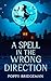 A Spell in the Wrong Direction by Poppy Bridgeman