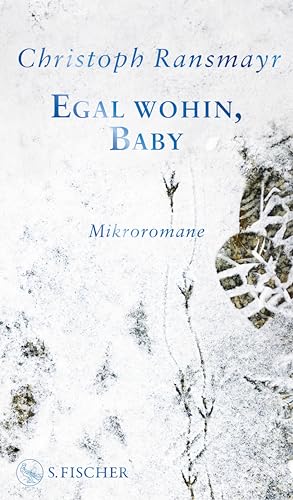 Egal wohin, Baby: Mikroromane (Kindle Edition)