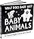 What Does Baby See?: Baby A...