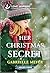 Her Christmas Secret by Gabrielle Meyer
