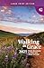 Walking in Grace 2025 Large Print: Daily Devotions to Draw You Closer to God