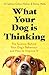 What Your Dog is Thinking: The Science Behind Your Dog's Behaviour and How to Improve It