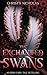 The Enchanted Swans: An Irish Fairy Tale Retelling