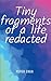 Tiny fragments of a life redacted by Peter Chua