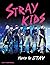 Stray Kids: Here to STAY