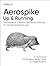 Aerospike by V. Srinivasan