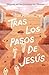 Tras los pasos de Jesús (SP...