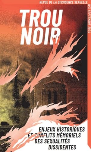 Trou Noir T03: Enjeux historiques et conflits mémoriels des sexualités dissidentes (Paperback)