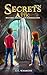 Secrets in the Attic (Myste...