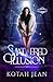 Shattered Illusion (Stonewell Academy, #1)
