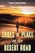Shoes of Peace on the Desert Road by Sarah Ivette Morales