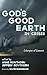God's Good Earth in Crisis by Anne Rowthorn