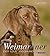 Weimaraner by Jochen Becker