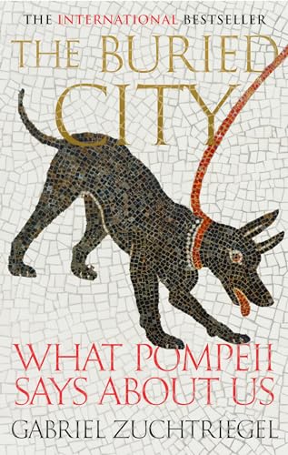 The Buried City: Unearthing the Real Pompeii (Kindle Edition)