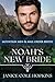 Noah's New Bride