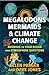 Megalodons, Mermaids, and Climate Change: Answers to Your Ocean and Atmosphere Questions