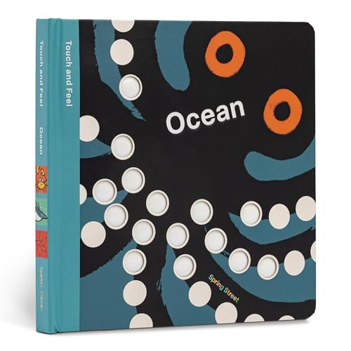 Spring Street Touch and Feel: Ocean (Board Book)