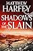 Shadows of the Slain (The Bernicia Chronicles #10)