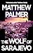 The Wolf of Sarajevo: a dyn...