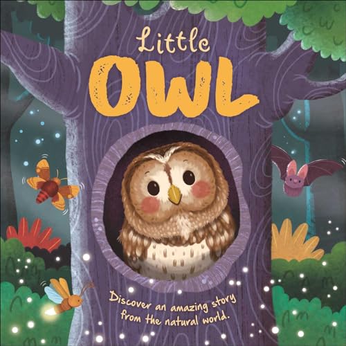 Nature Stories: Little Owl-Discover an Amazing Story from the Natural World: Padded Board Book (Board Book)