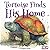 Tortoise Finds His Home: "C...