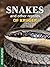 Snakes and other reptiles o...