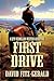 First Drive: A Seph Vermillion Western Adventure