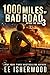 1000 Miles of Bad Road 3: After the EMPs
