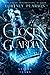 Chosen Guardian: A Fantasy Romance (Stolen Tears Book 1)