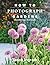 How to Photograph Gardens: Beautiful Images Made Simple