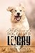 All Because of a Dog Called Lucky by Judith Spencer