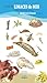 Guide des limaces de mer nu...