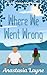 Where We Went Wrong (Love i...