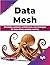 Data Mesh: Principles, patt...