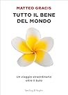 Tutto il bene del mondo: Un viaggio straordinario oltre il buio (Italian Edition)