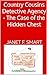 Country Cousins Detective Agency- The Case of the Missing Chest by Janet Smart Country Cousins Detective Agency- The Case of the Missing Chest by Janet Smart