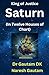 Saturn In Twelve Houses of Chart (Planets)