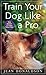 Train Your Dog Like a Pro