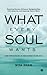 What Every Soul Wants: Deep Reflections on the Nature of our Soul