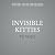 Invisible Kitties: A Feline Study of Fluid Mechanics or The Spurious Incidents of the Cats in the Night-Time
