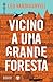 Vicino a una grande foresta