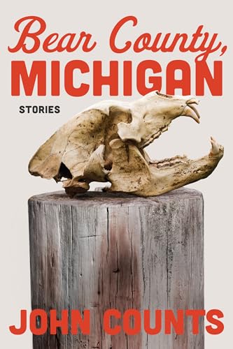 Bear County, Michigan: Stories (Paperback)