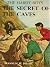 The Secret of the Caves: The Hardy Boys (Book 7)